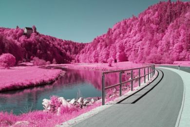 Infrarotbild in extremkontrast